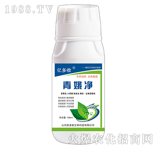 �����-����������