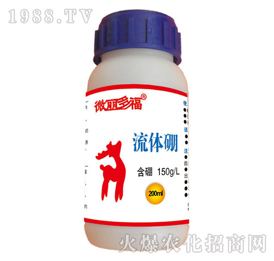 ���w��-΢���ร