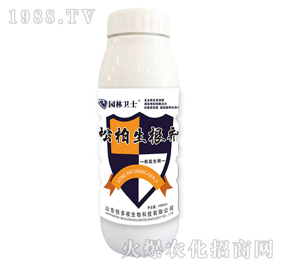 �ɰ�������-�@���l(w��i)ʿ-������