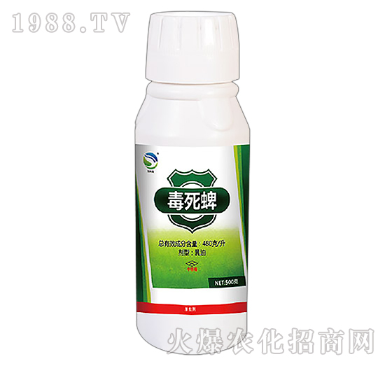 ������-���xһ����-�l(xi��ng)�@�r(n��ng)��