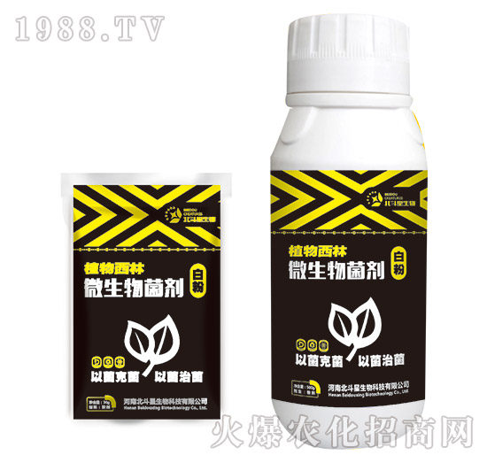 白粉專(zhuān)用微生物菌劑-植物西林-北斗星