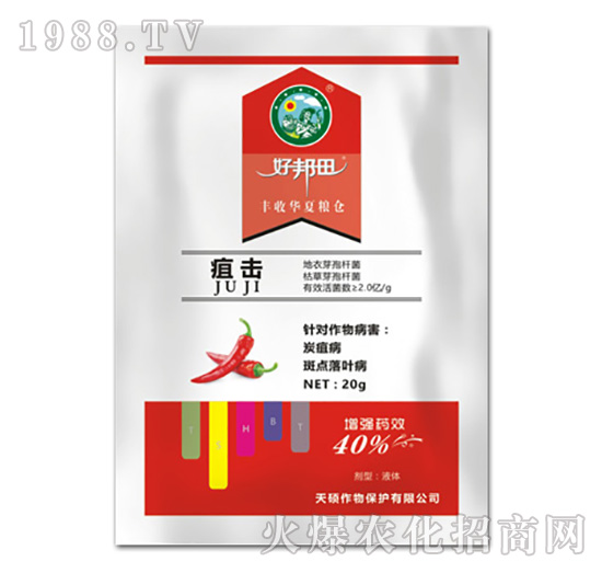 �ғ�-�ð���-��T����