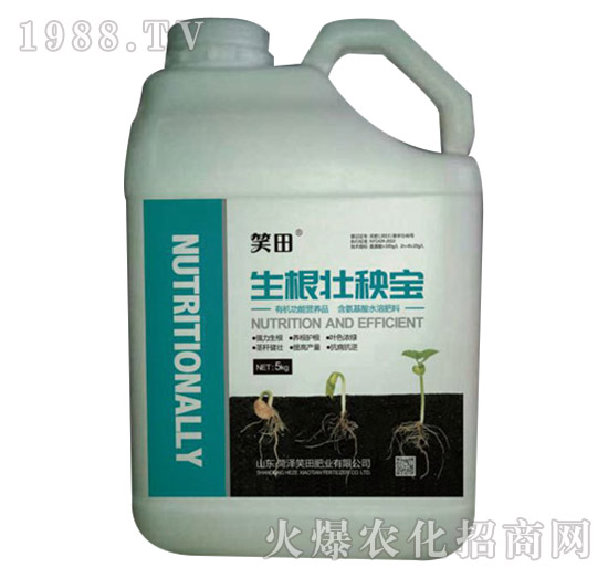 �������팚-Ц��