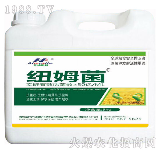 紐姆菌-艾姆斯特