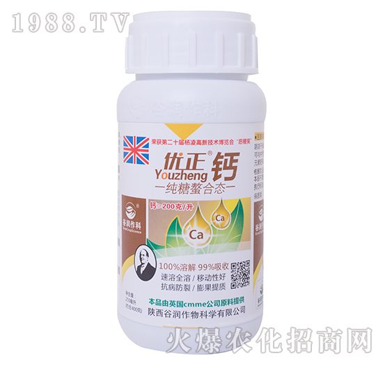 �������ϑB(t��i)-��(y��u)���\-�ȝ�(r��n)����