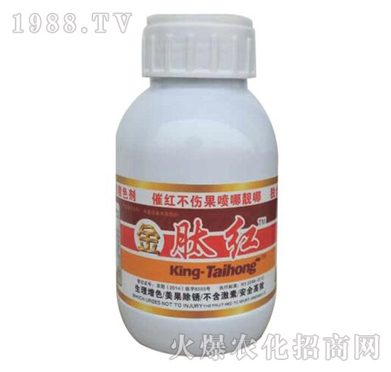 ���ļt-� �����