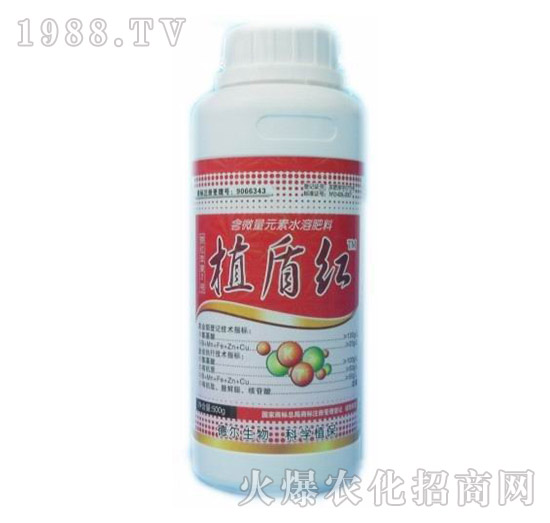 ֲ�ܼt-� �����