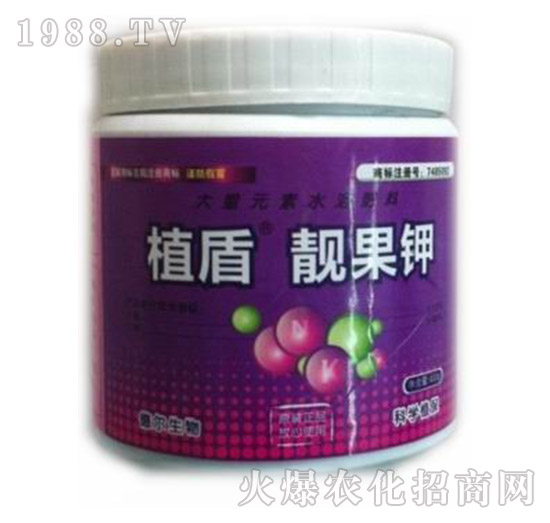 �n���-ֲ��-� �����