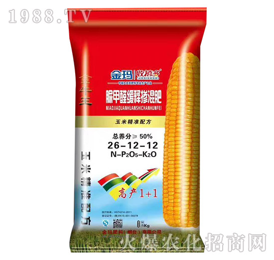 ���ȩ��ጓ����26-12-12-������-��