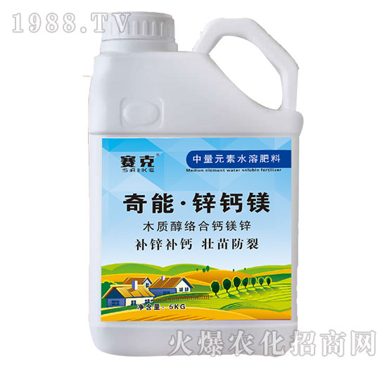 ���ܡ��\�}�V-ِ��-�_(t��i)�_(d��)