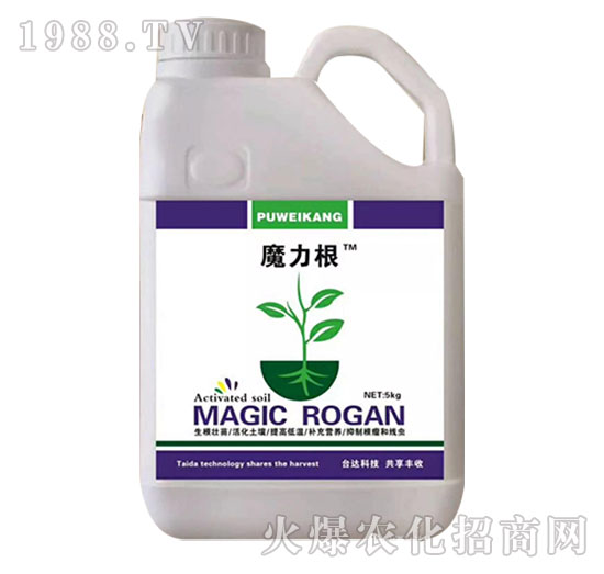 ħ����-�_(t��i)�_(d��)