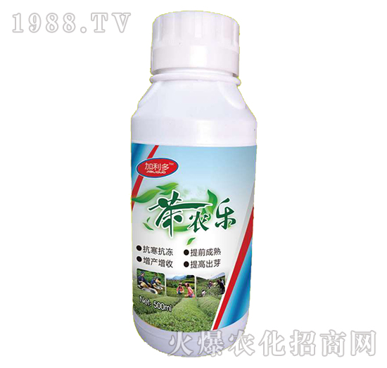 茶葉專(zhuān)用葉面肥-茶農(nóng)樂(lè)-海拉維