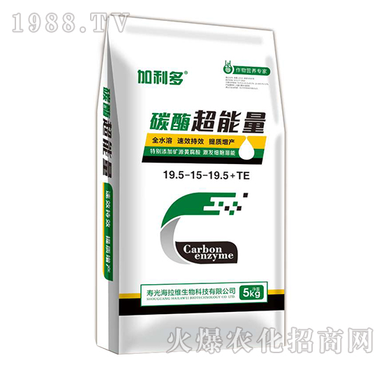 ̼ø������-������-�����S