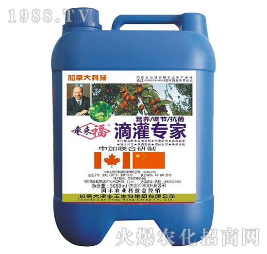 �ι�����-������-���S��