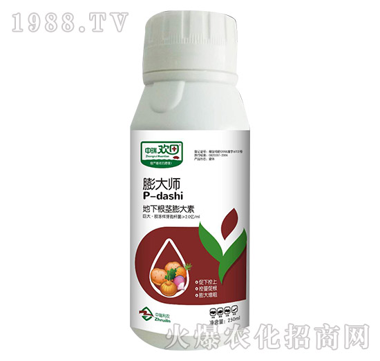 地下根莖膨大素-膨大師-中瑞歡田-中瑞利農(nóng)