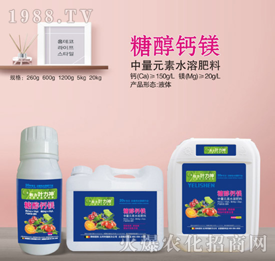 �Ǵ��}�V-ʩ����