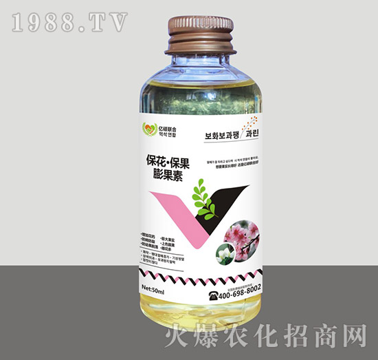 ���������������-�R�Sֲ��