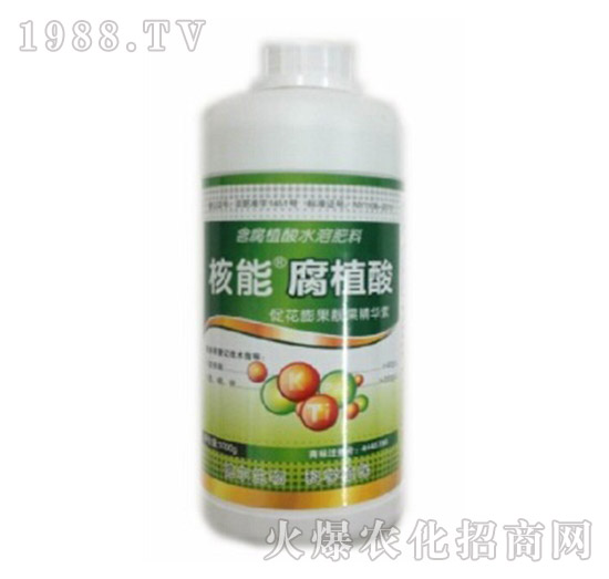 腐植酸-核能-德?tīng)柹? style=