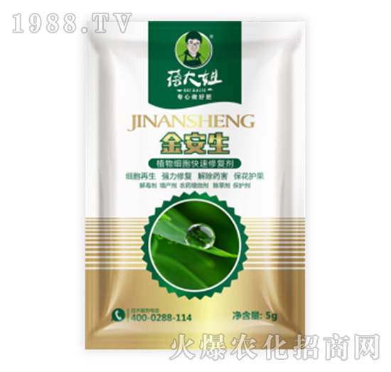 ֲ�：�������ޏ̈́�-����-�����