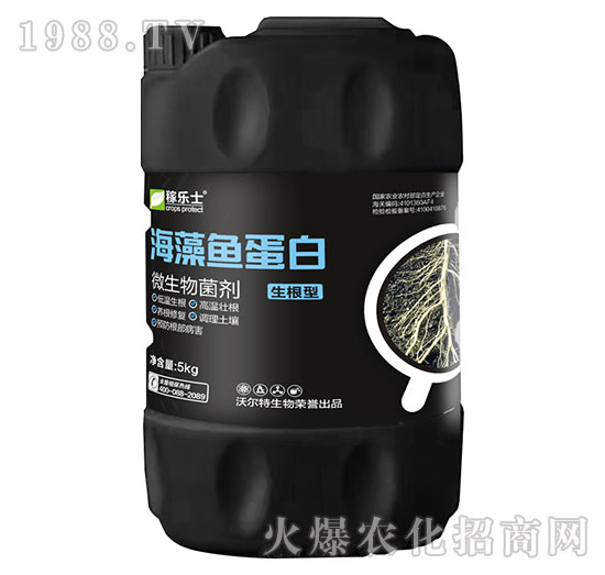 �����ͺ����~(y��)����-�ژ�(l��)ʿ