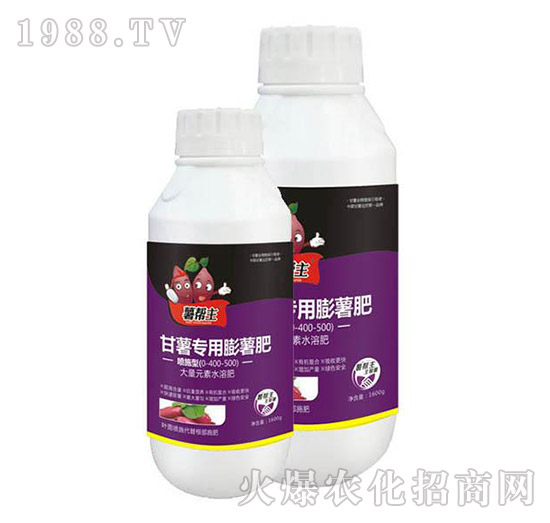 ���팣��������-�����-���A����(l��)