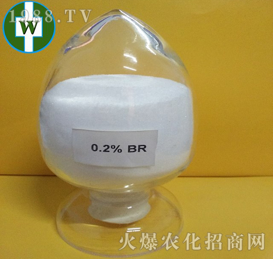 0.2%�|̦��-��΢