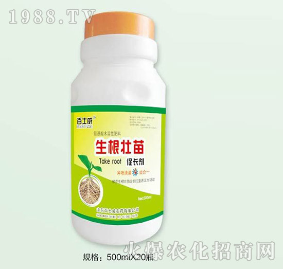 ����������L��-��ʿ��