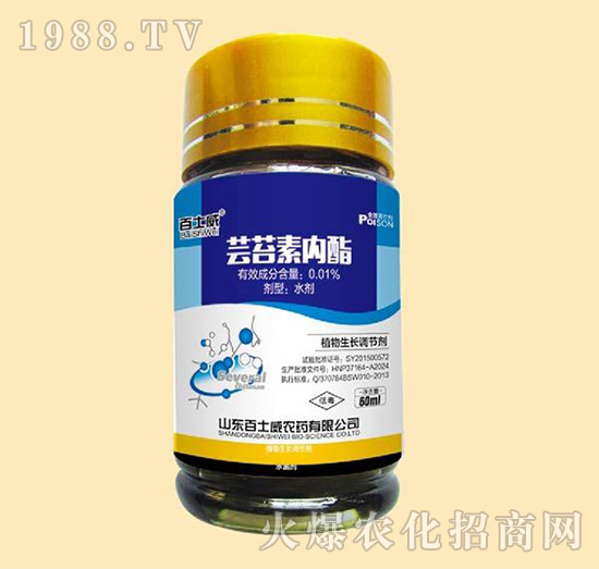 �|̦�؃�(n��i)��-��ʿ��