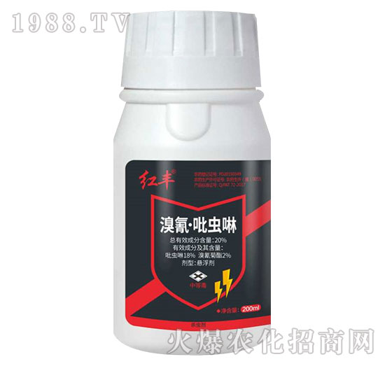 20%���衤���x��-�t�S-Ӣ����