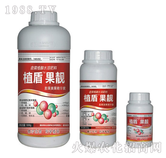 ���n-ֲ��-� �����