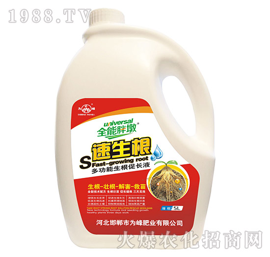 ������-ȫ���ֶ�-���