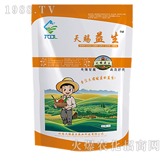 ���n����-���n����