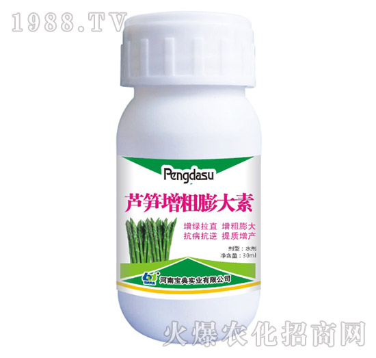 �J�S���������-���䌍�I(y��)