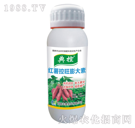 �t�����������-���-���䌍(sh��)�I(y��)