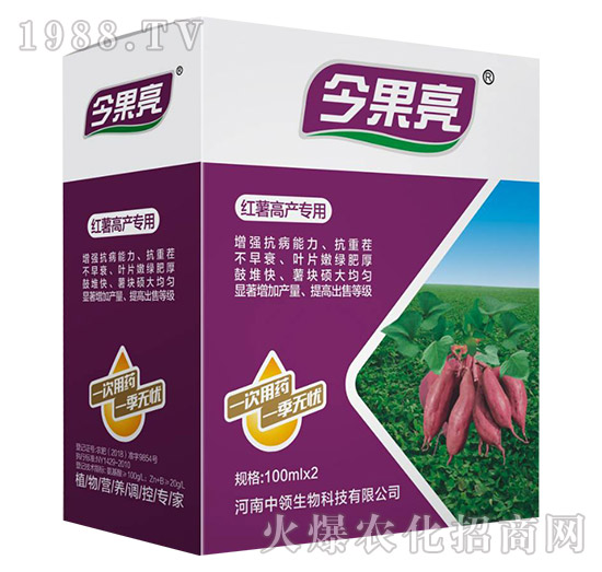 紅薯高產(chǎn)專用-今果亮-中領(lǐng)生物
