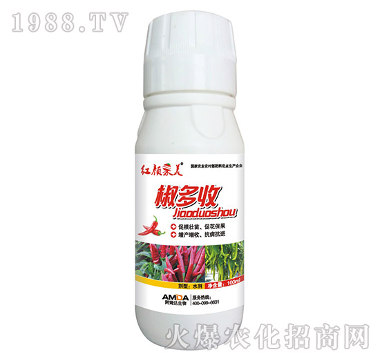 椒多收-紅顏果美-阿姆達