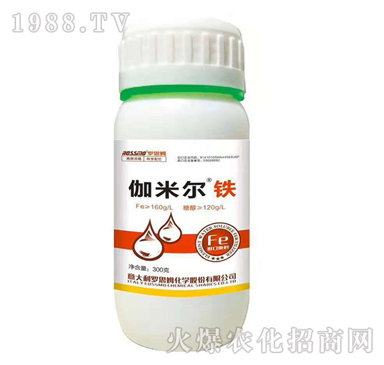 伽米爾鐵-羅思姆-木禾佳寶