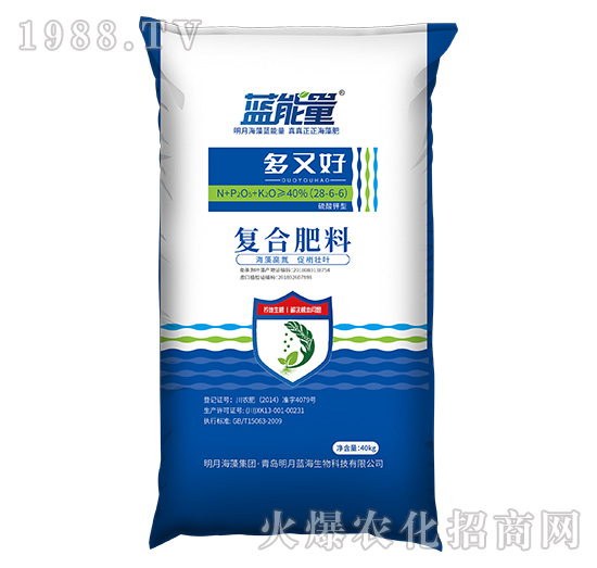 ������͏�(f��)�Ϸ���28-6-6-���ֺ�-�{����