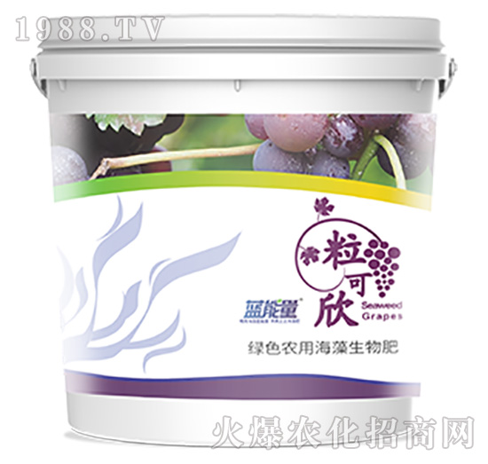 ������-�{����