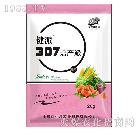 307���a��-����-����(li��n)��