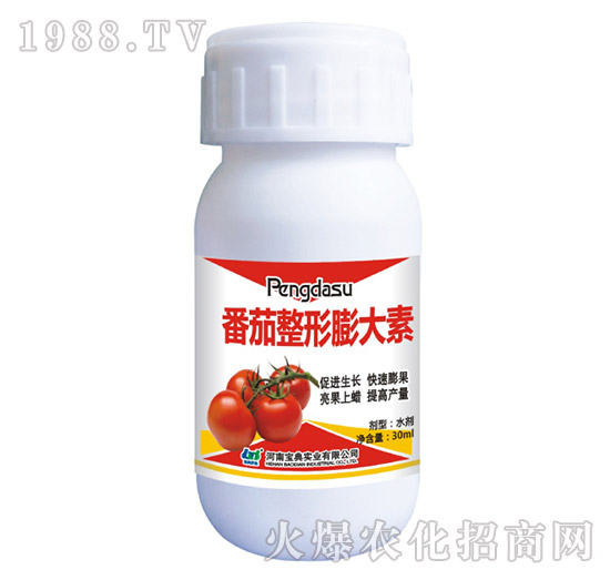 �������������-���䌍�I(y��)