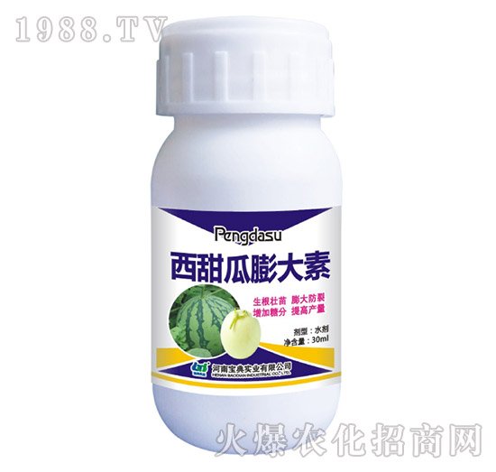 西甜瓜膨大素-寶典實(shí)業(yè)