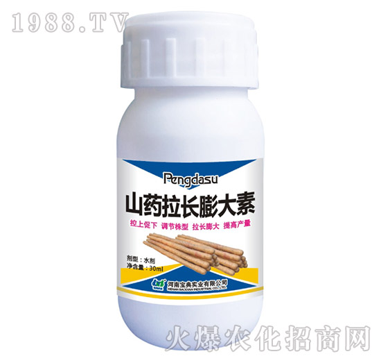 山藥拉長(zhǎng)膨大素-寶典實(shí)業(yè)