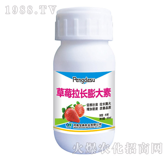 草莓拉長膨大素-寶典實(shí)業(yè)