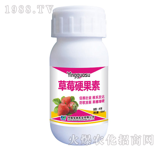 ��ݮӲ����-���䌍�I(y��)