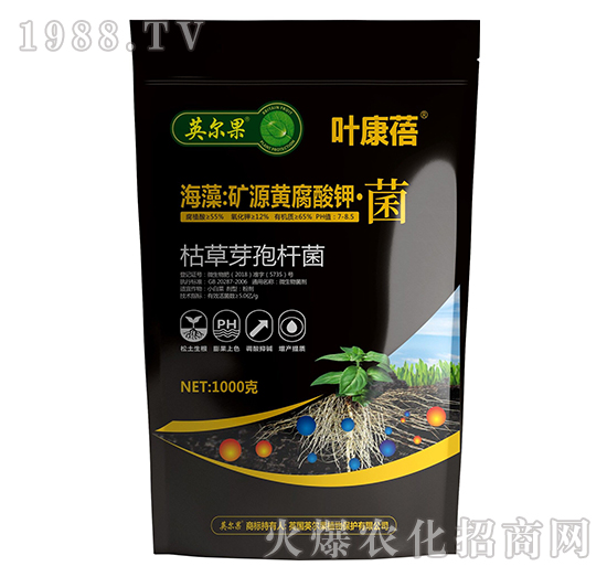 ���壺�VԴ�S����⛡���-�~����-Ӣ����