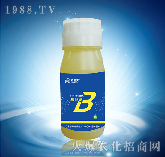 �Ǵ���-�~����