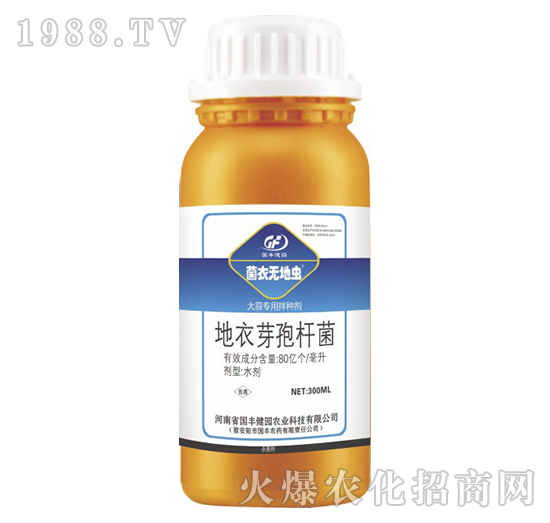 ���⌣(zhu��n)�ð�N��-���o(w��)���x(ch��ng)-��(gu��)�S���@