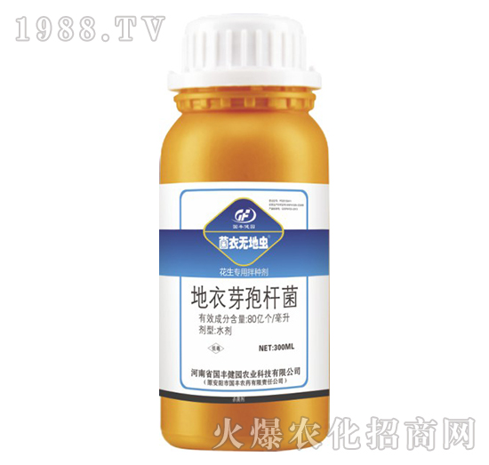 �������ð�N��-���o���x-��(gu��)�S���@