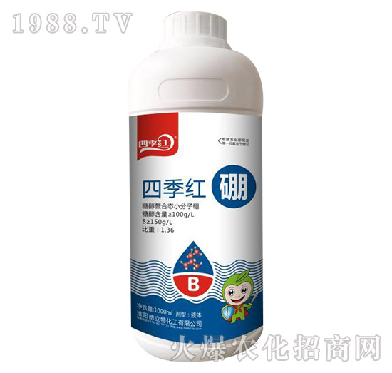 �ļ��t��-�ļ��t-������